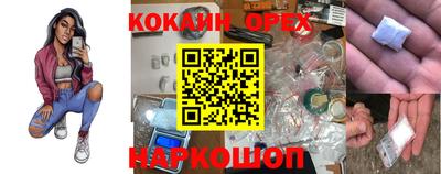 индика Владимир