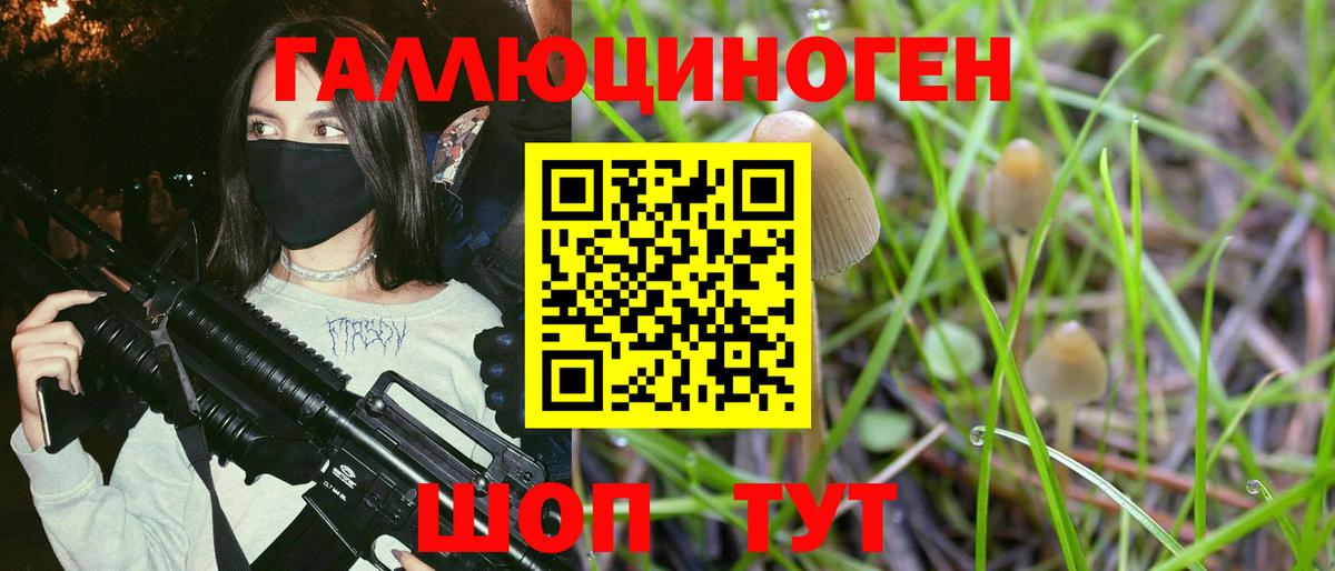 Псилоцибиновые грибы MAGIC MUSHROOMS  Вход с VPN  Пугачёв 