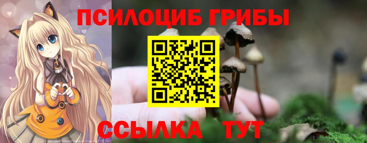 Псилоцибиновые грибы мицелий Пугачёв